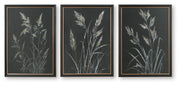 Janisburg - Wall Art Set (Set of 3) - Black / White / Brown