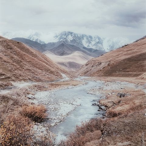 Darinby - Wall Art - Gray / Brown / White