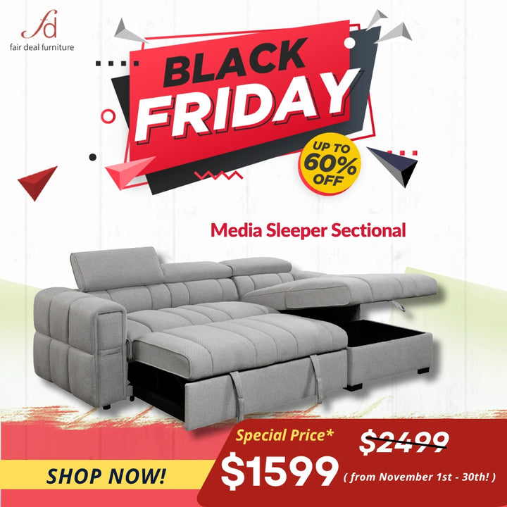 Timon Sectional with Pull out Sleeper