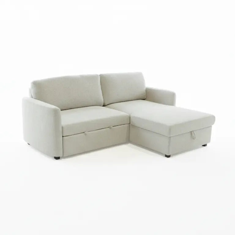Carter Sectional with Pull Out and Mattress Cover