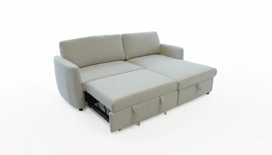 Carter Sectional with Pull Out and Mattress Cover