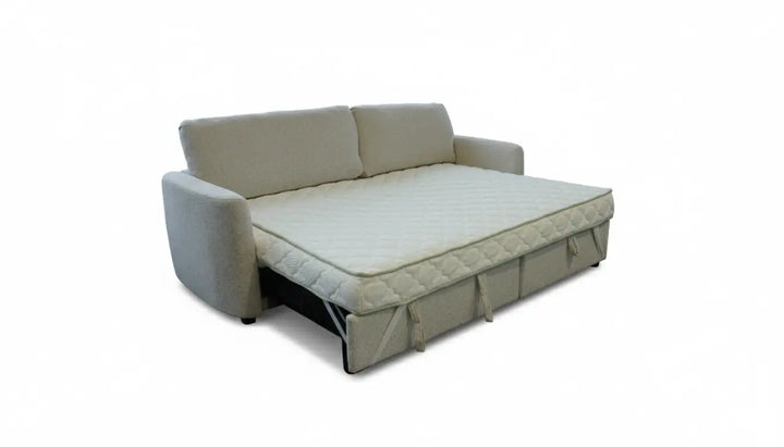 Carter Sectional with Pull Out and Mattress Cover