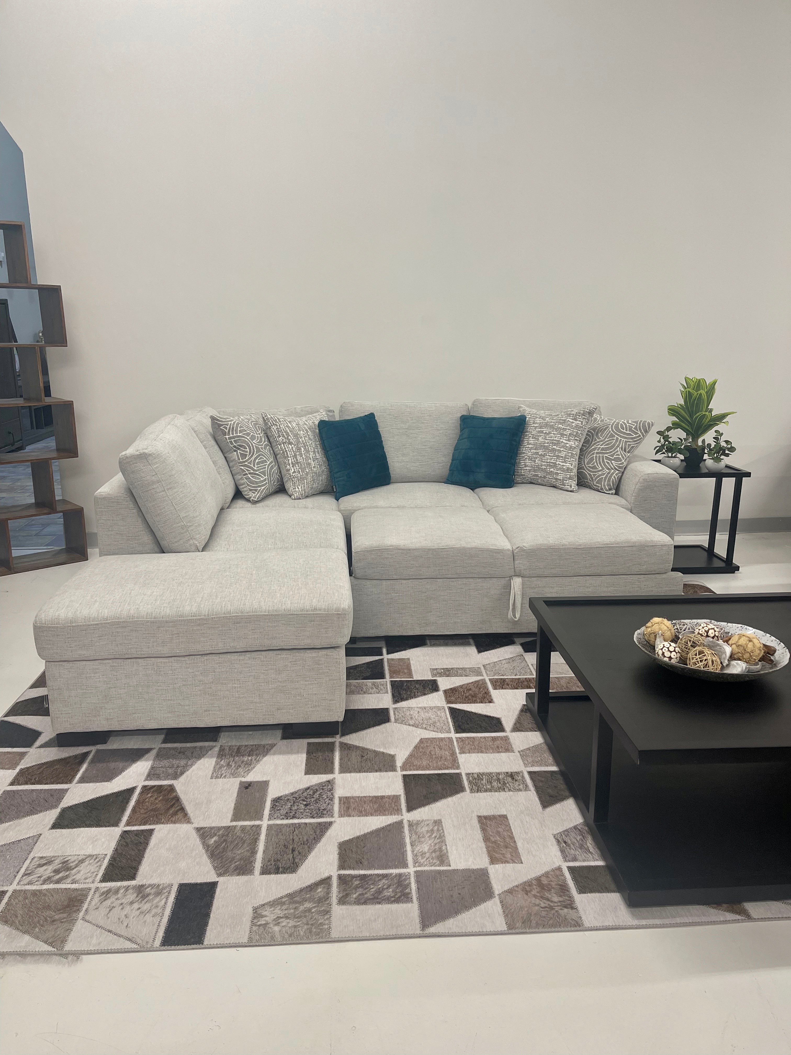 Noah 2 Piece Pull Out Sectional