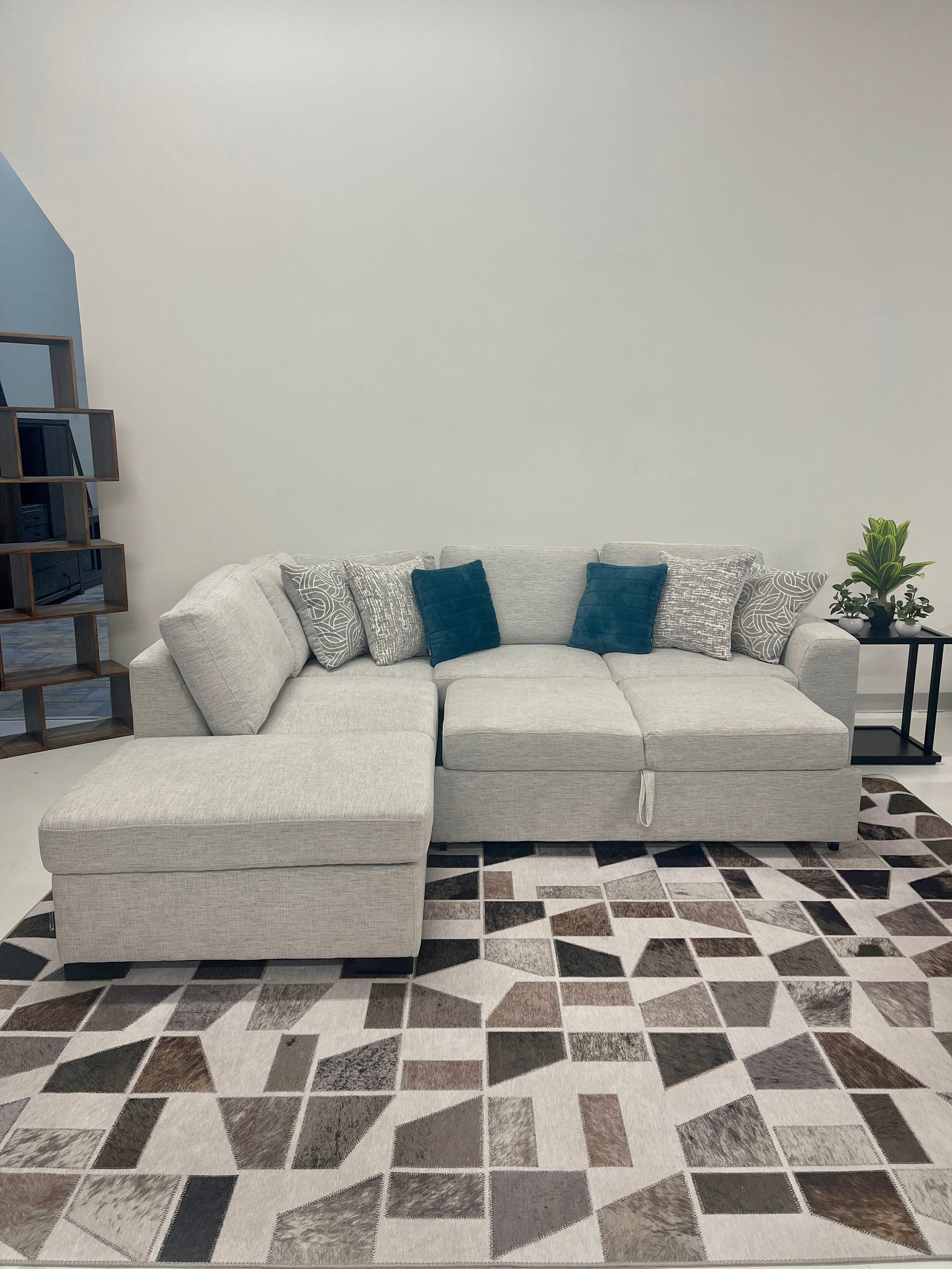 Noah 2 Piece Pull Out Sectional