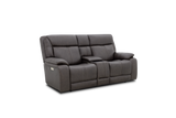 Joy Power Reclining Loveseat