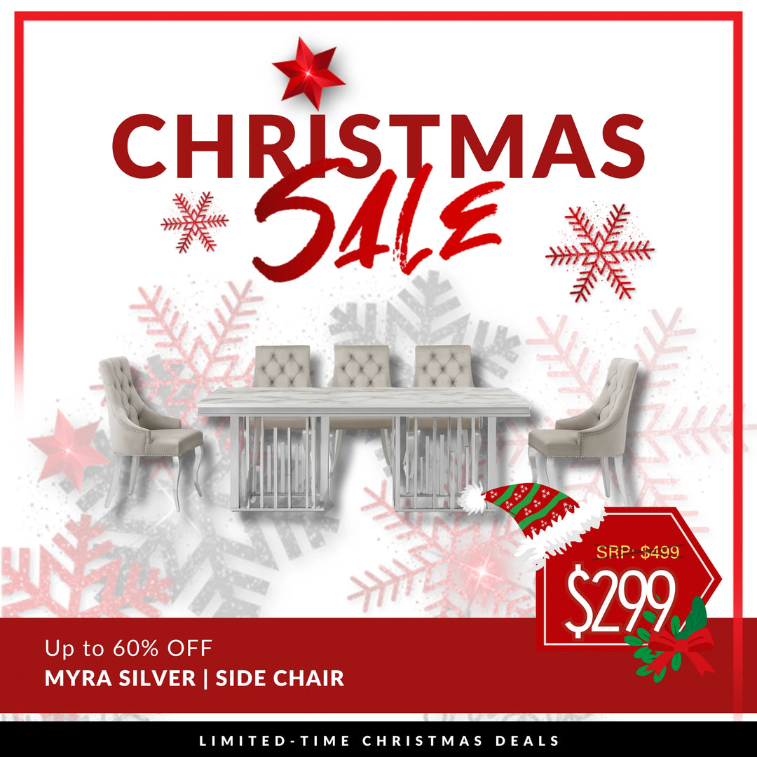 Myra Side Chair – Silver