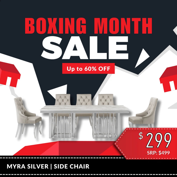 Myra Side Chair – Silver