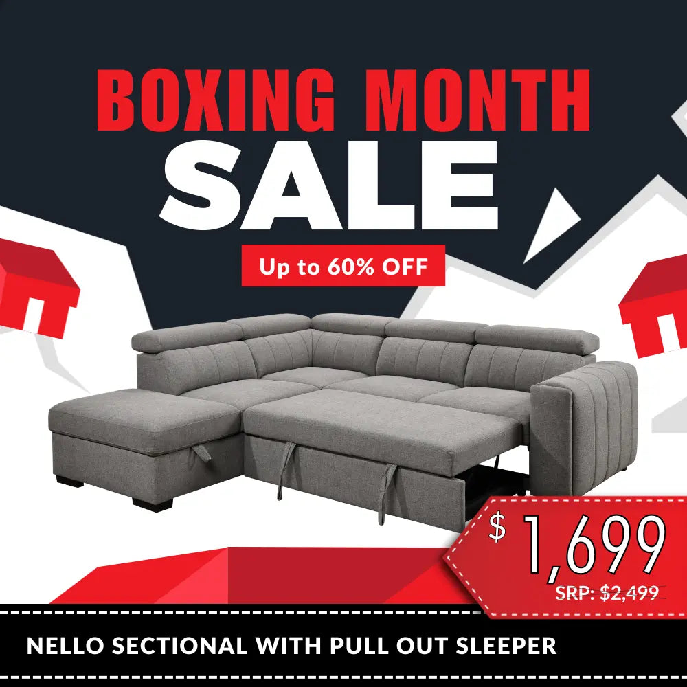 Nello Sectional with Pull Out Sleeper