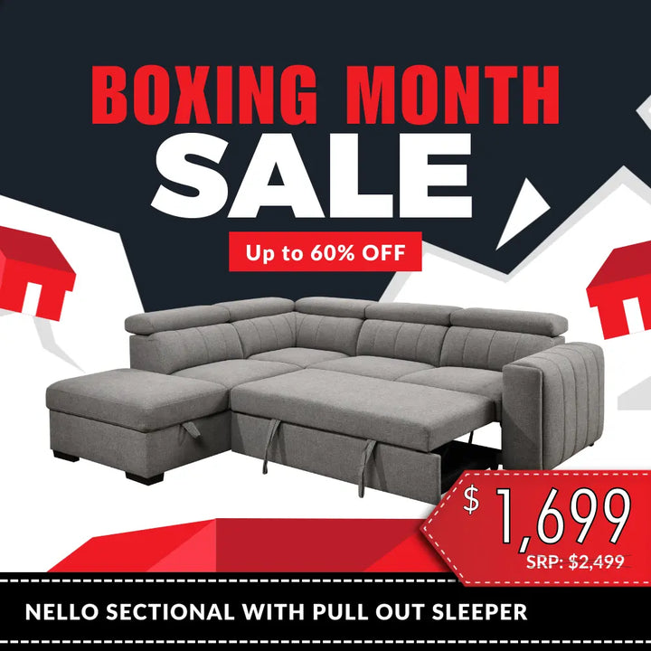 Nello Sectional with Pull Out Sleeper