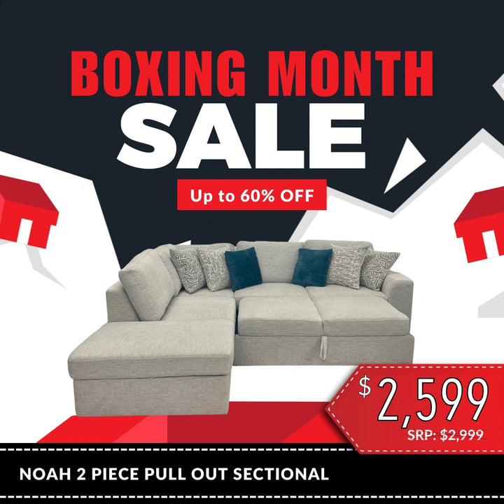 Noah 2 Piece Pull Out Sectional