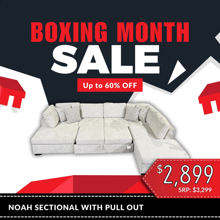 Noah Large Sectional with Pull Out