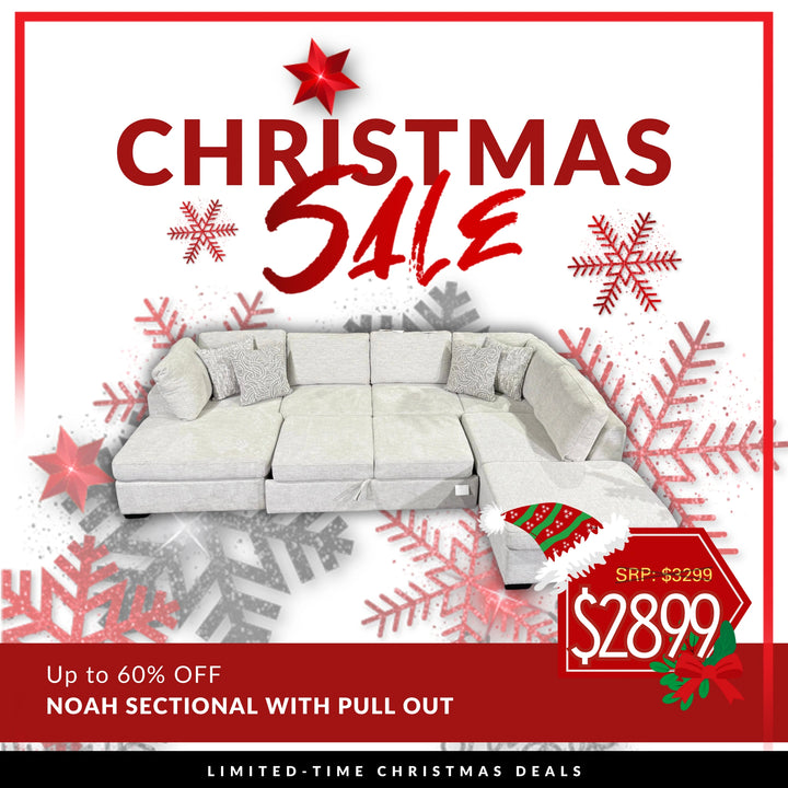 Noah Large Sectional with Pull Out