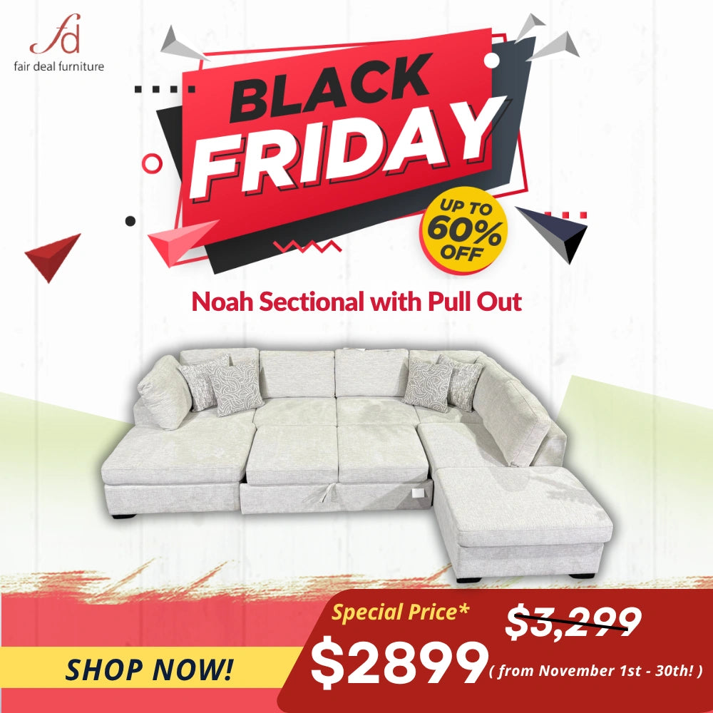 Noah Large Sectional with Pull Out