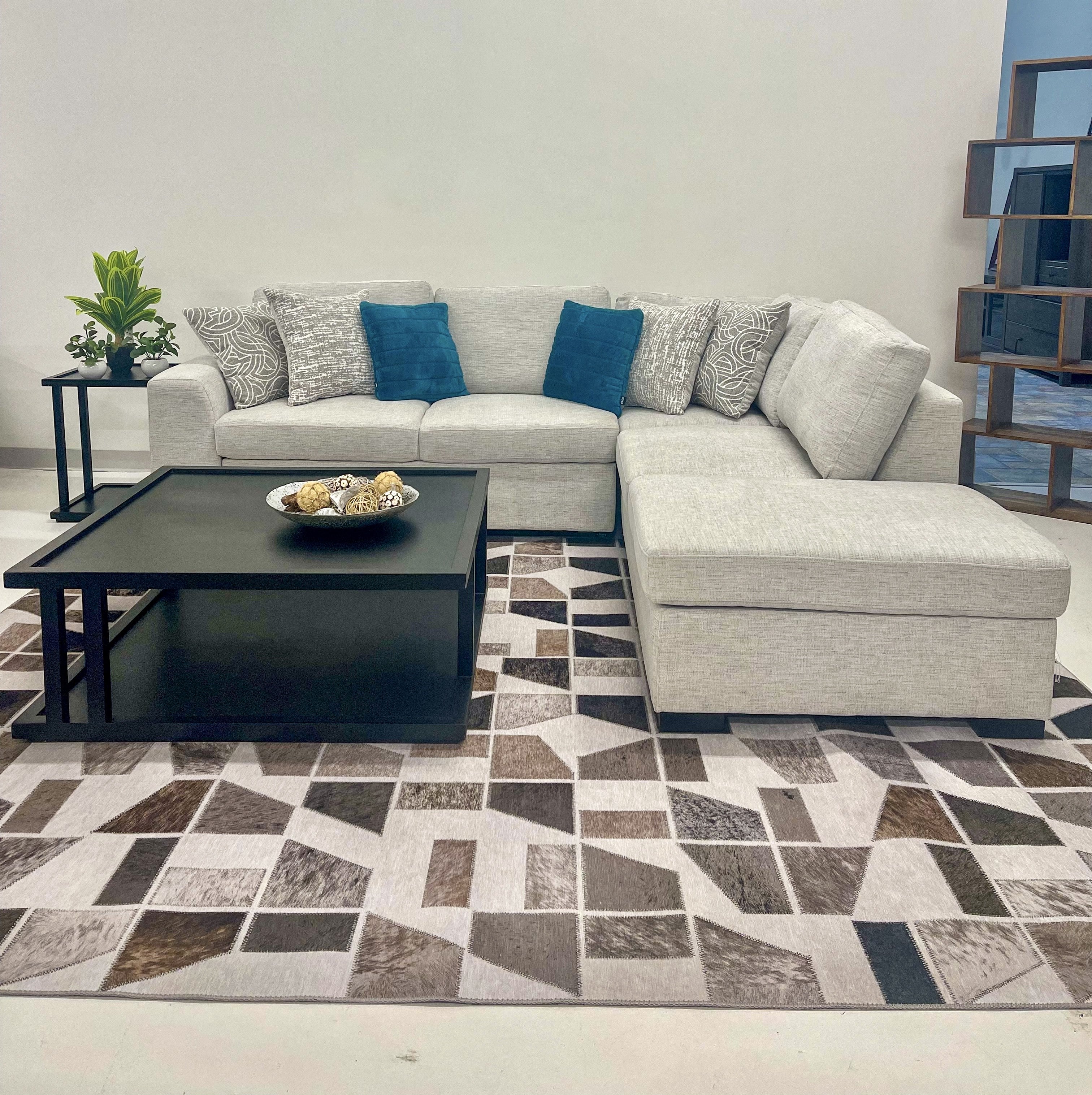 Noah 2 Piece Pull Out Sectional