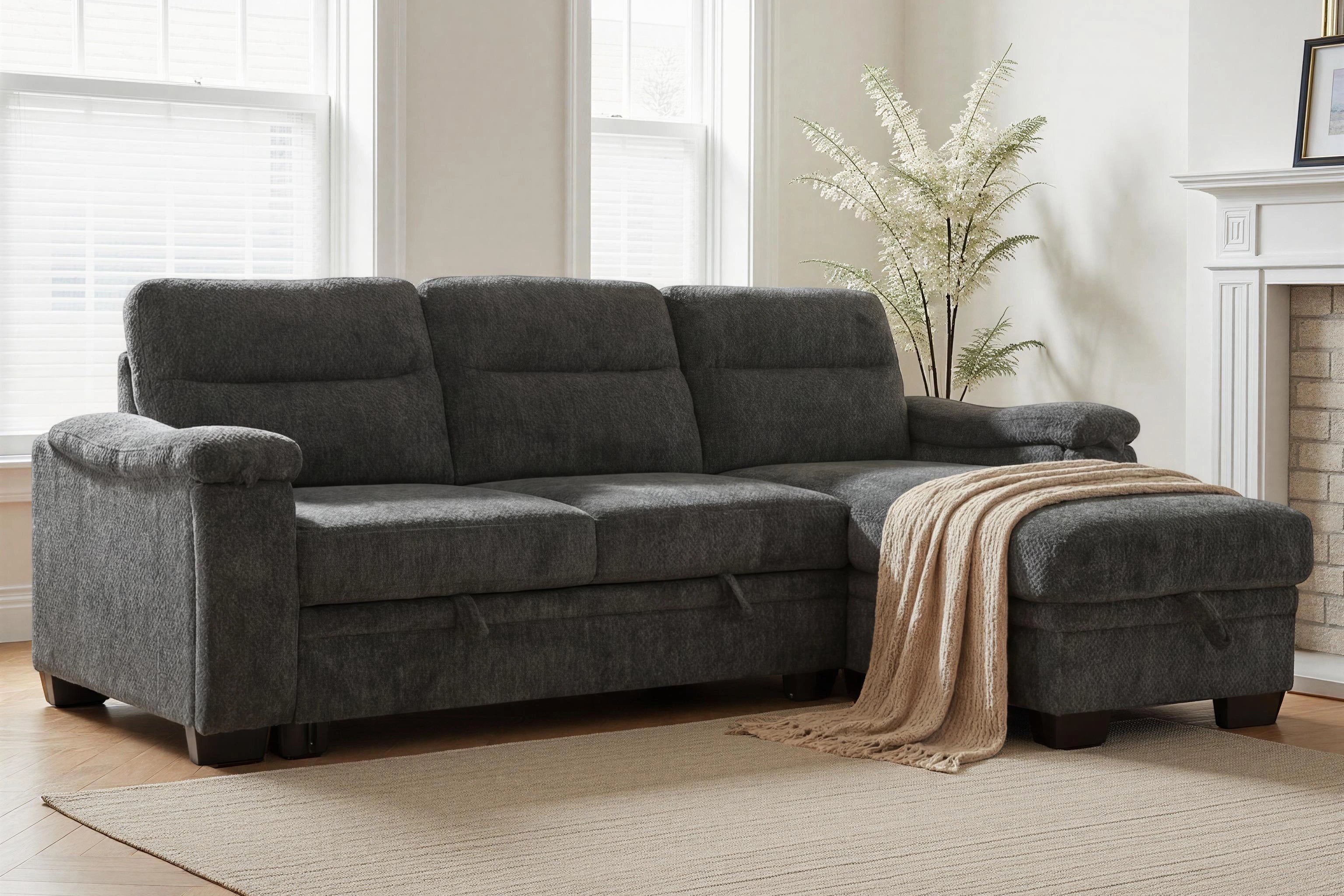 Savio Media Sleeper Sectional