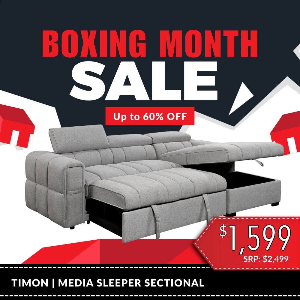 Timon Sectional with Pull out Sleeper