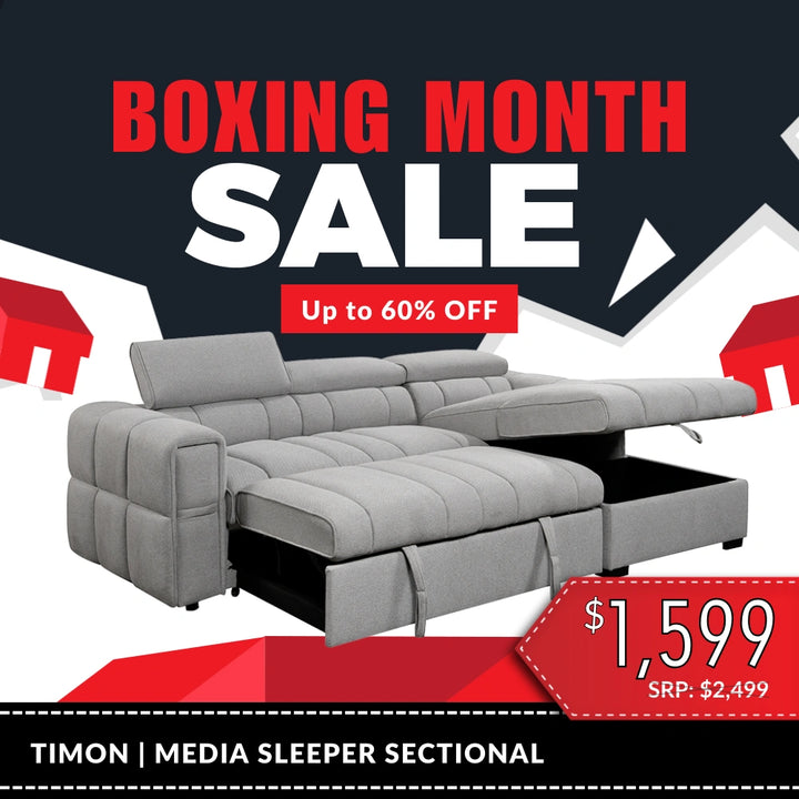 Timon Sectional with Pull out Sleeper