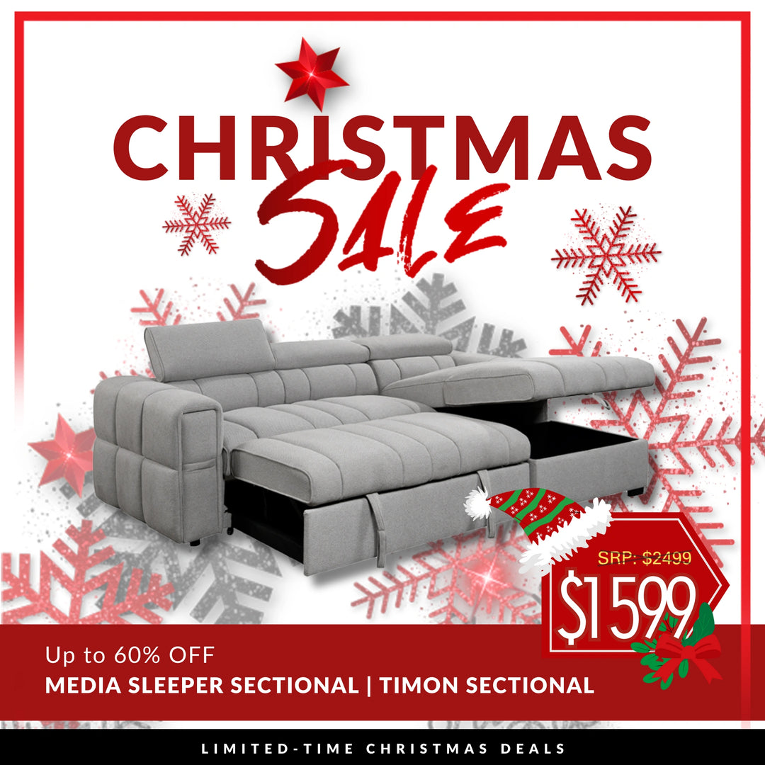 Timon Sectional with Pull out Sleeper