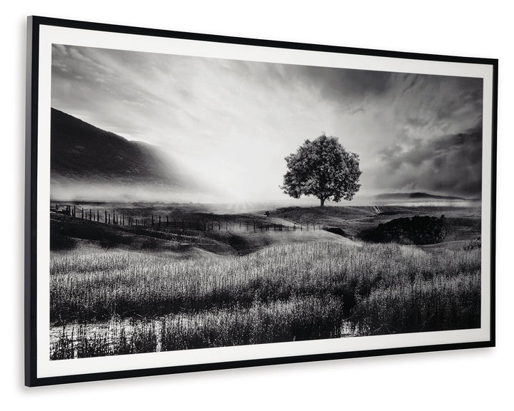 Deborland - Wall Art - Black / White